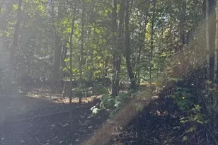 166 Wild Iris, Beech Mountain, NC 28604 - Photo 1