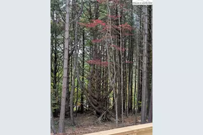 222 Doell Lane, Sparta, NC 28675 - Photo 21