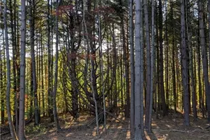 222 Doell Ln, Sparta, NC 28675 - Photo 17