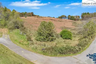 372 & 393 Bingham Ln, Laurel Springs, NC 28644 - Photo 35