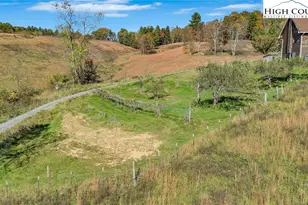 372 & 393 Bingham Ln, Laurel Springs, NC 28644 - Photo 41