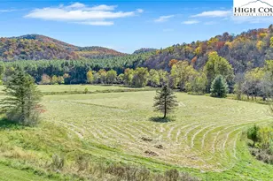 372 & 393 Bingham Ln, Laurel Springs, NC 28644 - Photo 3