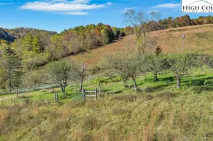 372 & 393 Bingham Ln, Laurel Springs, NC 28644 - Photo 27