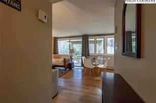 165 Briarcliff Rd, Banner Elk, NC 28604 - Photo 15