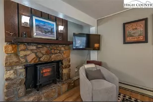 165 Briarcliff Rd, Banner Elk, NC 28604 - Photo 3