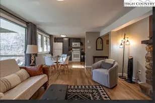 165 Briarcliff Rd, Banner Elk, NC 28604 - Photo 17