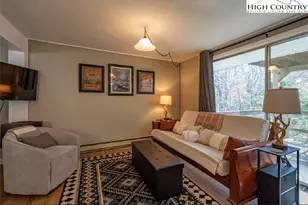 165 Briarcliff Rd, Banner Elk, NC 28604 - Photo 5