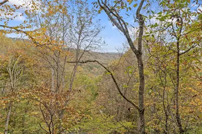 265 Leatherwood Road, Banner Elk, NC 28604 - Photo 5