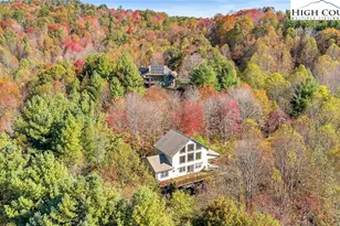 170 Lenape Ln, Creston, NC 28615 - Photo 9