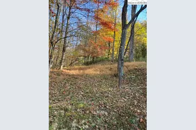 Tbd Nc Hwy 194 S, Vilas, NC 28692 - Photo 3