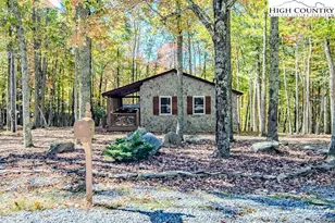 719 Pine Ridge Rd, Beech Mountain, NC 28604 - Photo 3