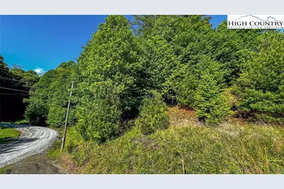 13 Peck Peak Road, Jefferson, NC 28640 - Photo 3