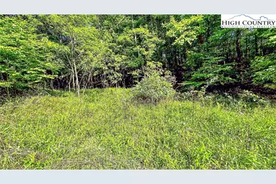 13 Peck Peak Road, Jefferson, NC 28640 - Photo 15