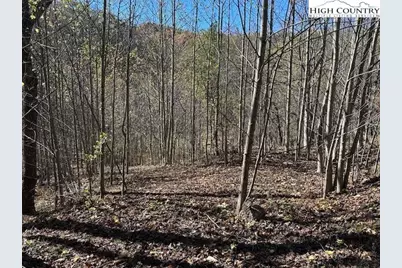 Tbd River Front Drive, Jefferson, NC 28640 - Photo 3