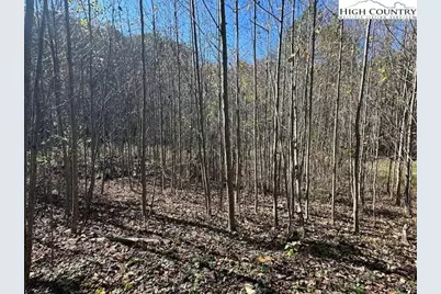 Tbd River Front Drive, Jefferson, NC 28640 - Photo 5