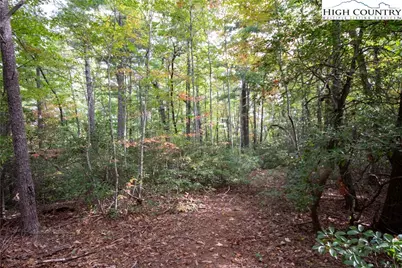 Lot# 594 Timberline Drive, Lenoir, NC 28645 - Photo 13