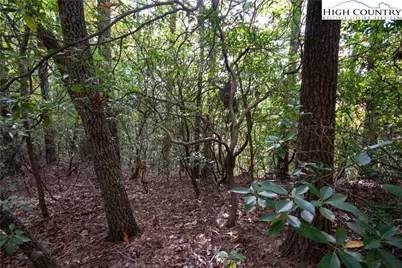 Lot# 594 Timberline Drive, Lenoir, NC 28645 - Photo 15