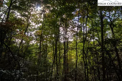 Lot# 594 Timberline Drive, Lenoir, NC 28645 - Photo 7