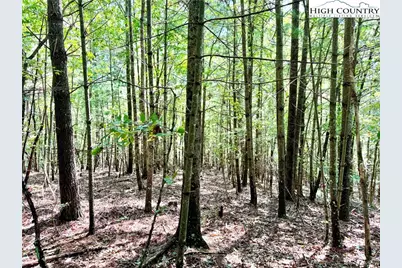 3.31 Acres, Lot 37 Poplar Bluff Drive, Lenoir, NC 28645 - Photo 5