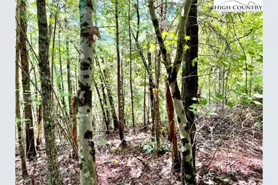 3.31 Acres, Lot 37 Poplar Bluff Drive, Lenoir, NC 28645 - Photo 3