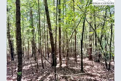 3.31 Acres, Lot 37 Poplar Bluff Drive, Lenoir, NC 28645 - Photo 1