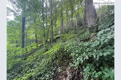 Tbd Clubhouse Drive, Banner Elk, NC 28604 - Photo 9