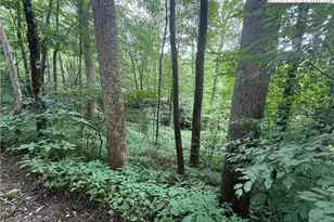 Tbd Clubhouse Dr, Banner Elk, NC 28604 - Photo 1