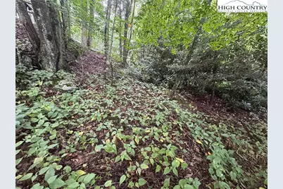 Tbd Clubhouse Drive, Banner Elk, NC 28604 - Photo 11