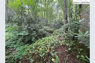 Tbd Clubhouse Drive, Banner Elk, NC 28604 - Photo 17