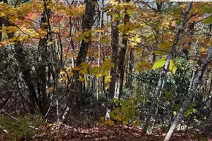 Lot 50-51 Poplar Trail, Creston, NC 28615 - Photo 1