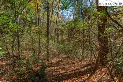 Tbd Mill Valley Drive, Jefferson, NC 28640 - Photo 9