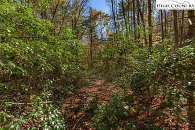 Tbd Mill Valley Drive, Jefferson, NC 28640 - Photo 7