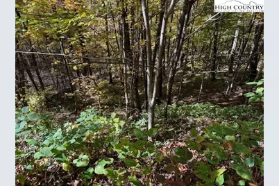 Lot 53 & 53A Poplar Trail, Creston, NC 28615 - Photo 3