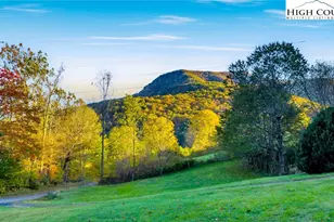 343 Saddle Gap, West Jefferson, NC 28694 - Photo 33