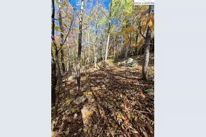 Tbd Lauren Lane, West Jefferson, NC 28694 - Photo 9