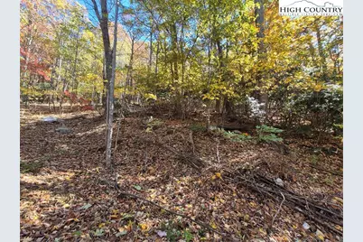 Tbd Lauren Lane, West Jefferson, NC 28694 - Photo 3