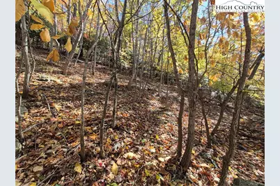 Tbd Lauren Lane, West Jefferson, NC 28694 - Photo 11