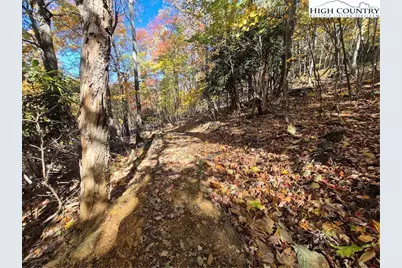 Tbd Lauren Lane, West Jefferson, NC 28694 - Photo 13