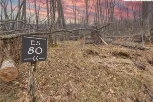 Es 80 Lands End Trail, Banner Elk, NC 28604 - Photo 1