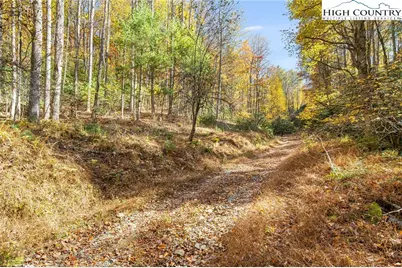 Tbd Monroe Herman #1 Road, Banner Elk, NC 28604 - Photo 1
