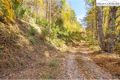 Tbd Monroe Herman #1 Road, Banner Elk, NC 28604 - Photo 11