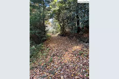 Lot 4B & 5 Chestnut Mountain Road, Beech Mountain, NC 28604 - Photo 13