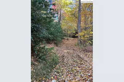 Lot 4B & 5 Chestnut Mountain Road, Beech Mountain, NC 28604 - Photo 5