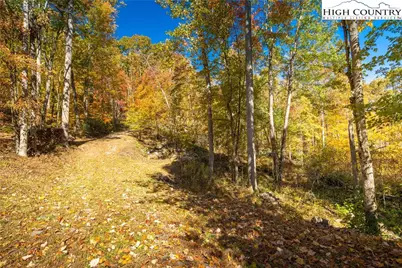 2161 Stone Mountain Road, Vilas, NC 28692 - Photo 25