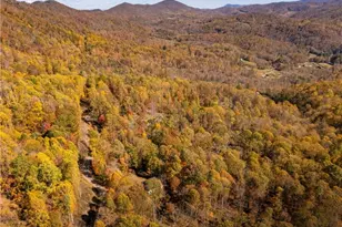 2161 Stone Mountain Rd, Vilas, NC 28692 - Photo 47