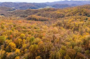 2161 Stone Mountain Rd, Vilas, NC 28692 - Photo 45