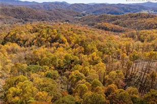 2161 Stone Mountain Rd, Vilas, NC 28692 - Photo 43