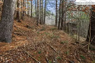 336 Willowdale Church Rd, Vilas, NC 28692 - Photo 15