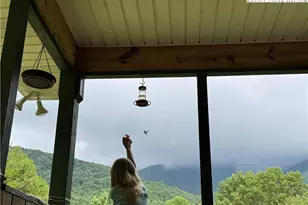 219 Raven Rock Ln, Burnsville, NC 28714 - Photo 29