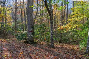 219 Raven Rock Ln, Burnsville, NC 28714 - Photo 9